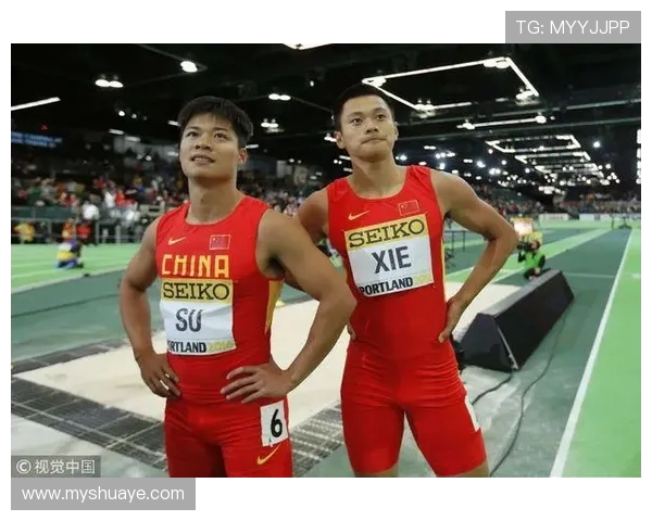 北京排球队以54分领跑钻石联赛积分榜展现强劲实力